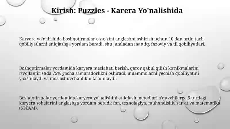 Puzzlesning karera maslahatidagi roli 3