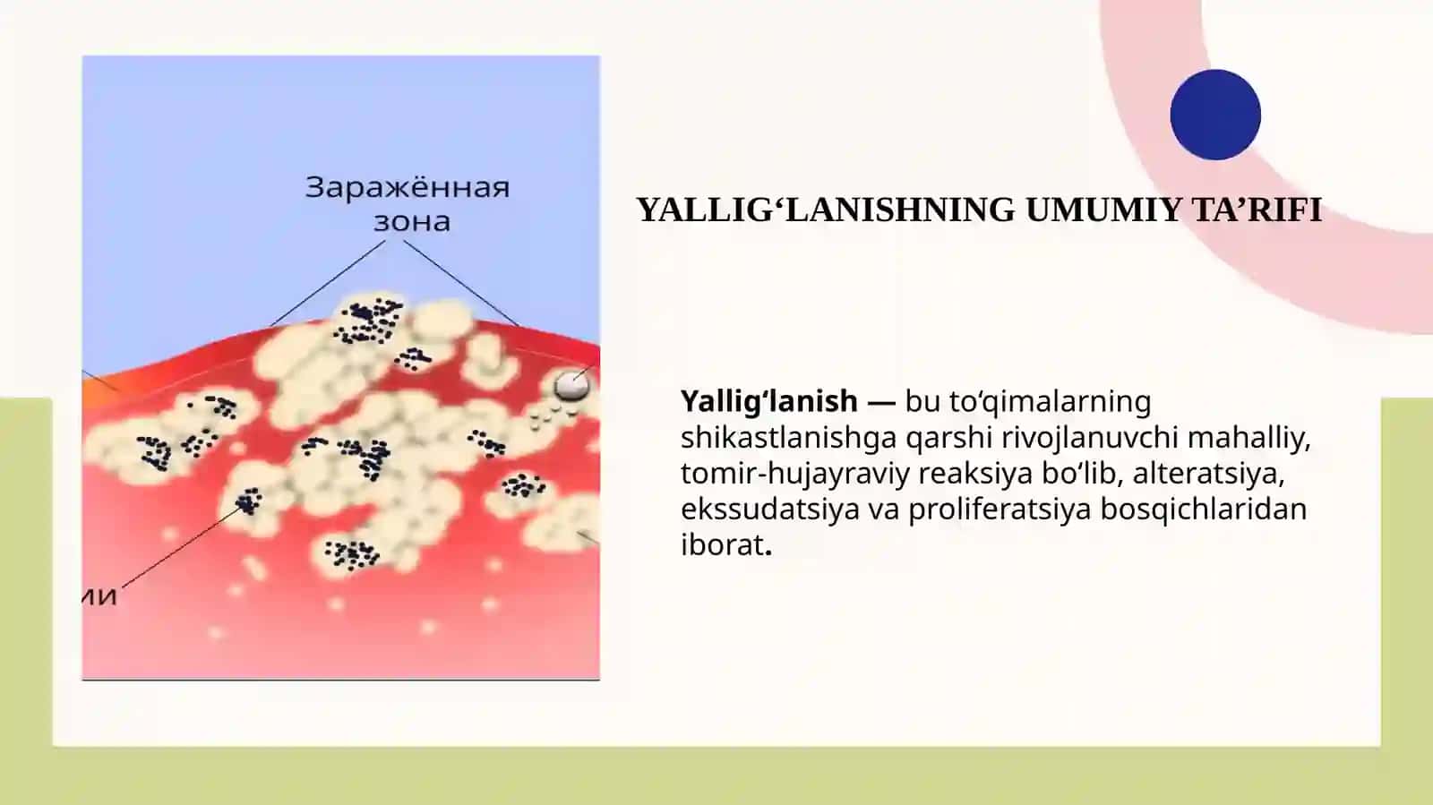 Yallig’lanish 3