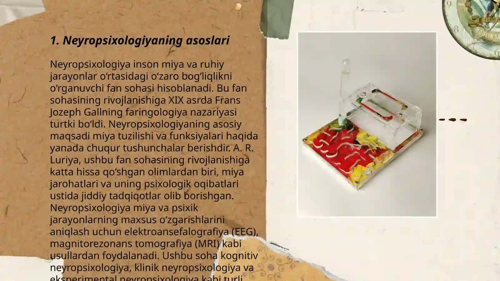 Xulq-atvorning psixofziologik asosi 3