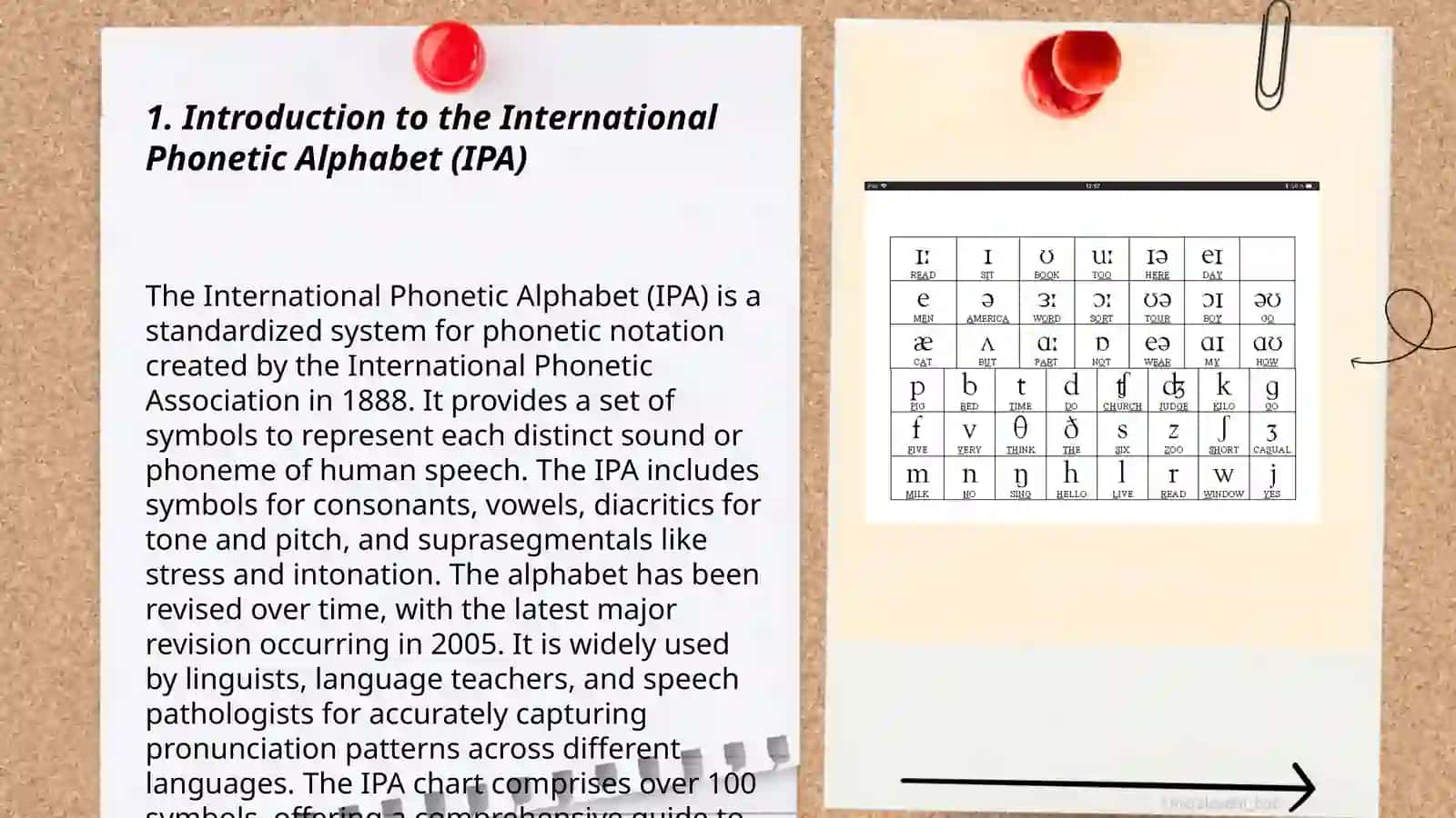 International Phonetic Alphabet (IPA) 3