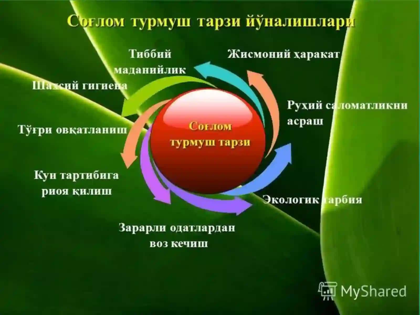 Халқаро кашандаликка қарши курашиш куни 3