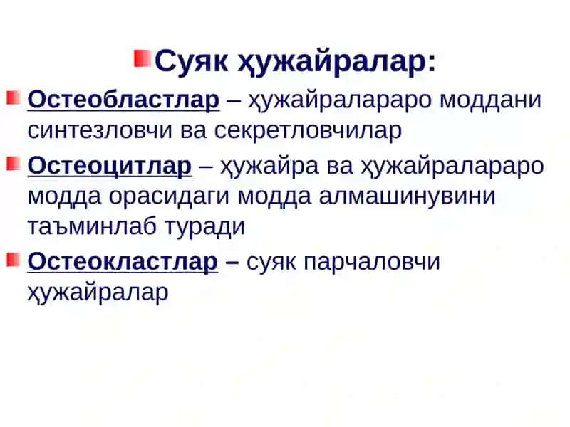 Gistologiya kurs ishi 3