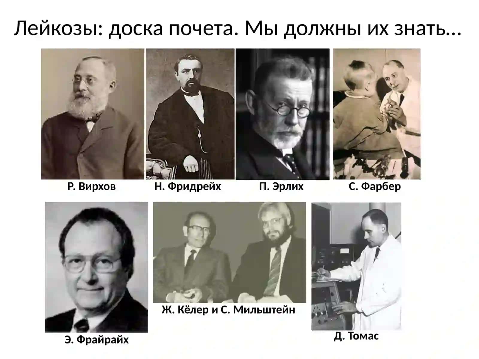 Лейкозы 3