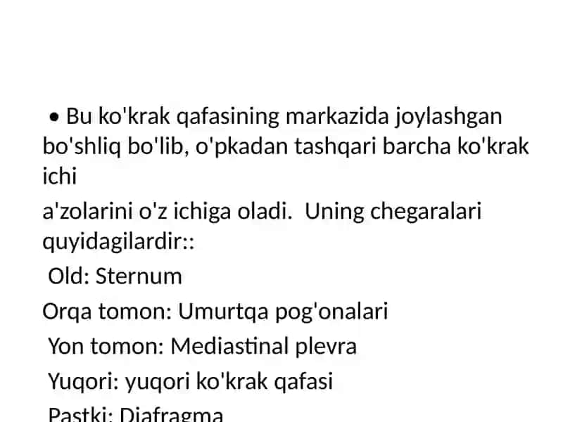 MEDIASTENIT 3