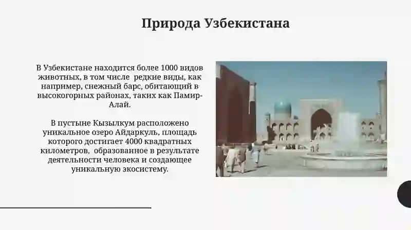 Природа Узбекистана 3