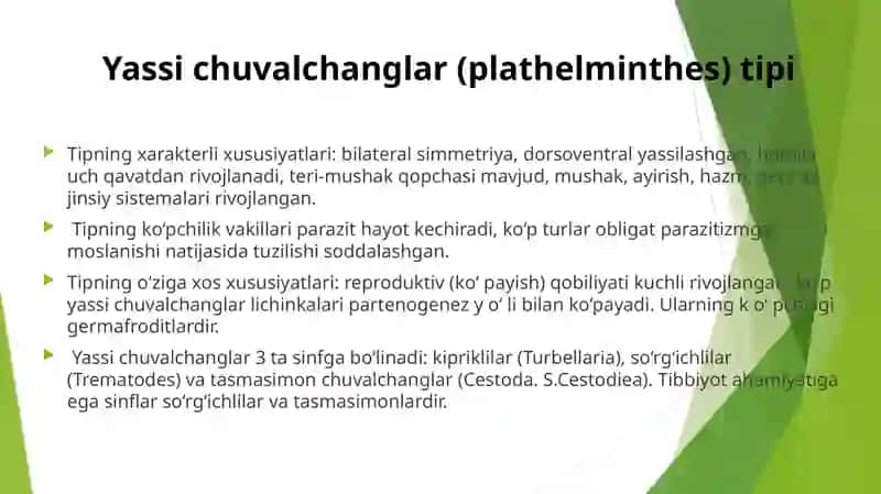 So’rg’ichlilar-odamparazitlari 3