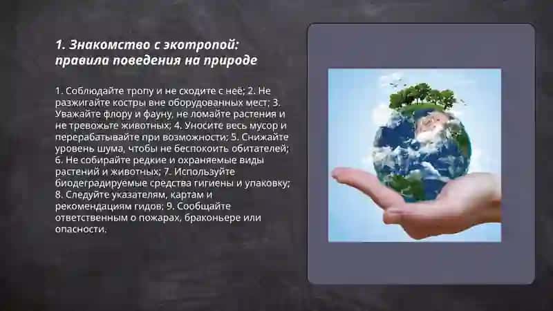 Пройдите экотропой. Планета Земля 3
