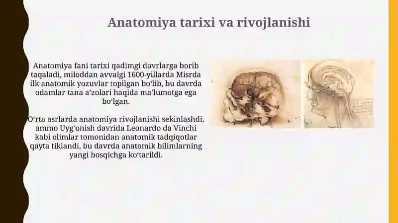 Anatomiya fanining tarixi, unio'rganish uslublari 3