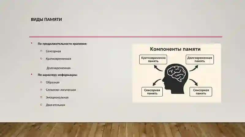 Память. Развитие, старение и распад 3