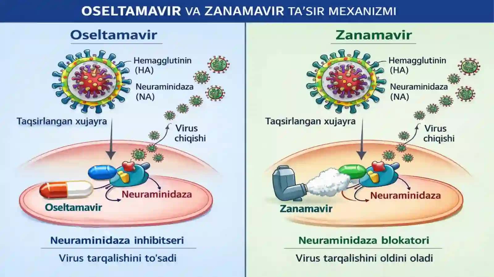 Virusga qarshi preparatlar 3