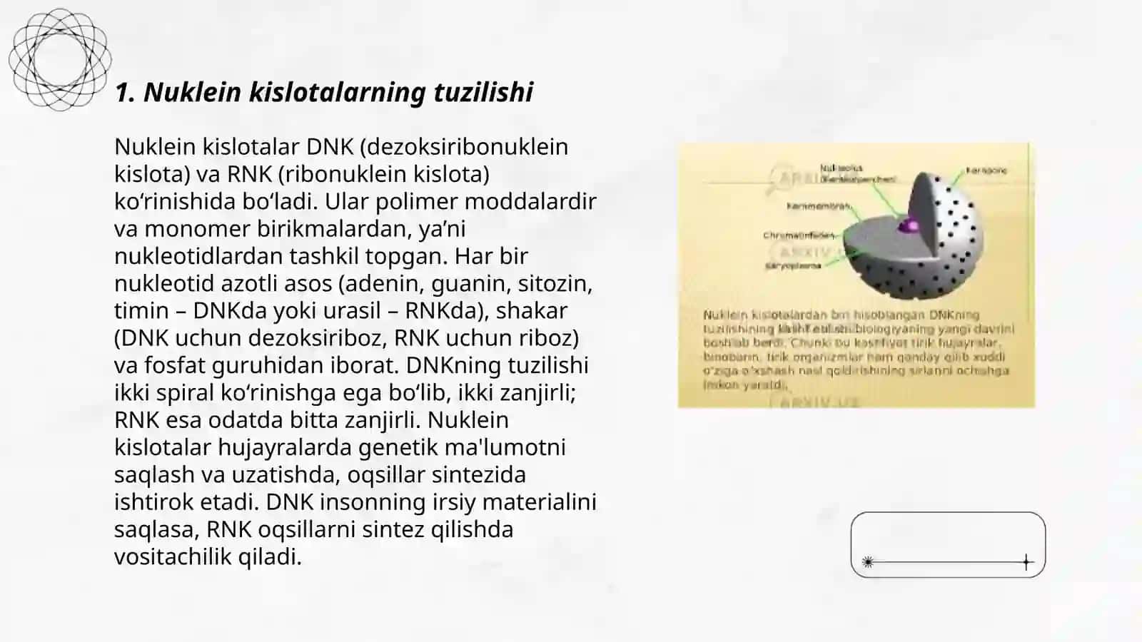 Nuklein kislotalar.Mutatsiyalar 3