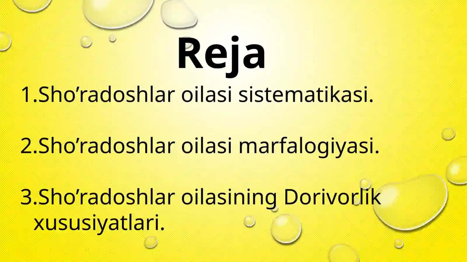 Sho’radoshlar Chenopodiaceae Ventoilasi 3