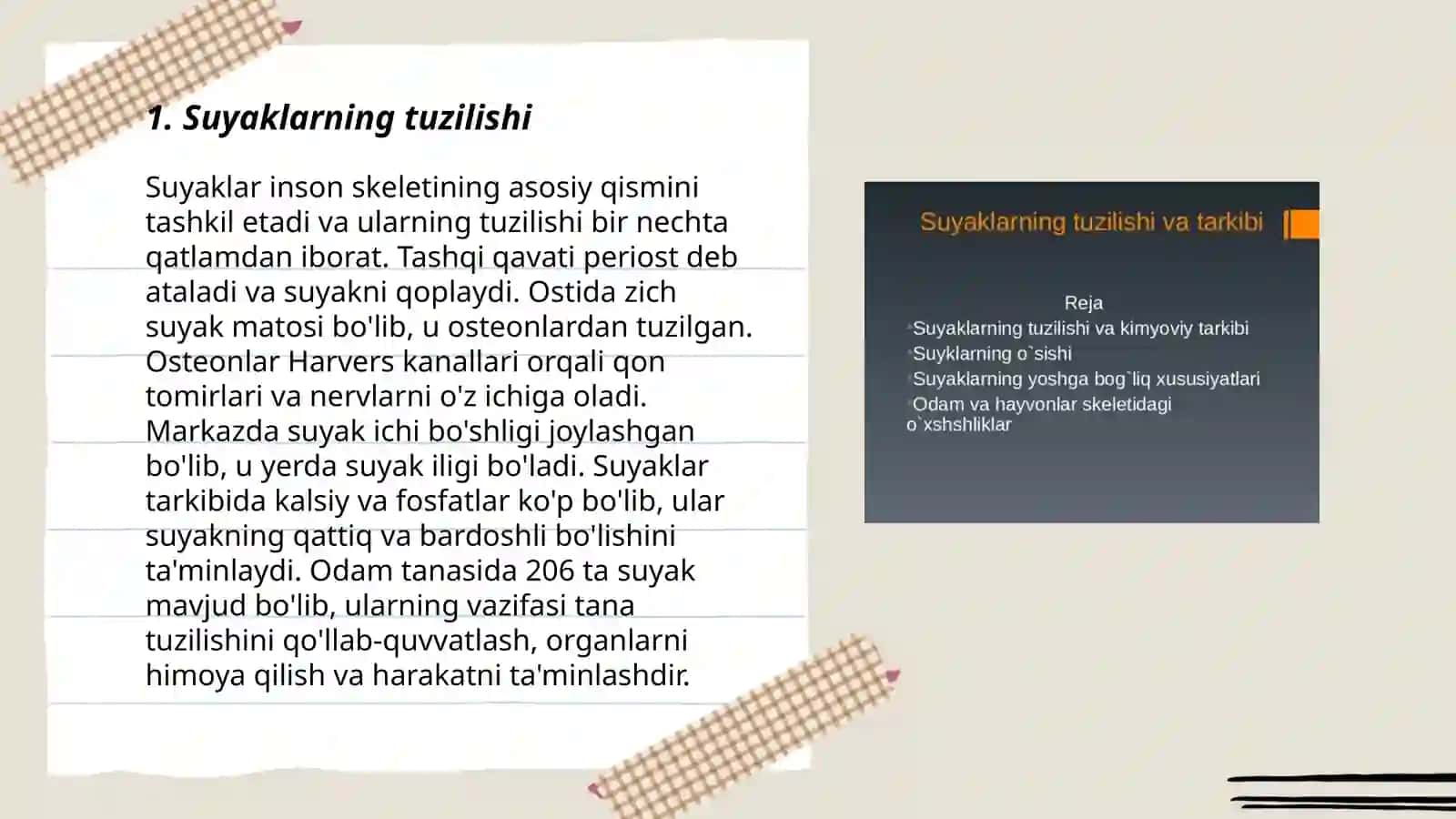 Suyaklar haqida tushuncha 3