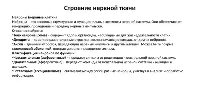 Нервная ткань 3