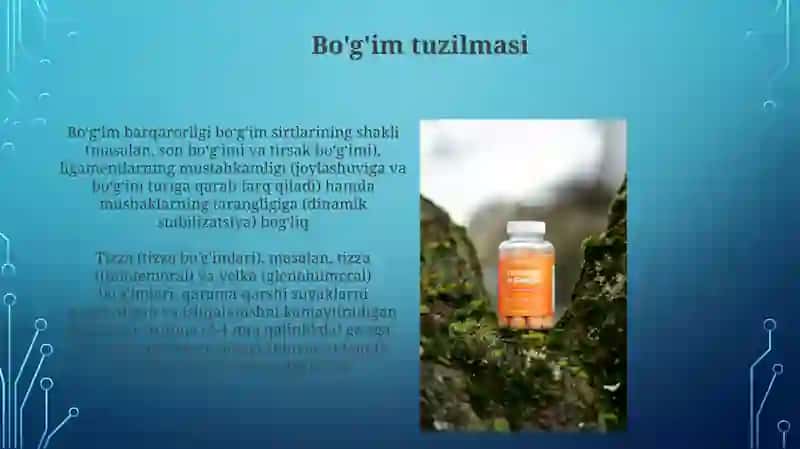 Bo'g'im va boylamlar 3