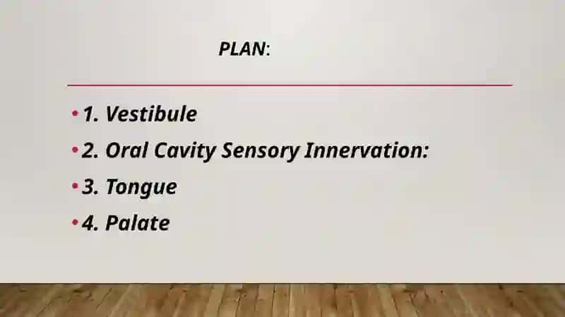 Oral cavity 3