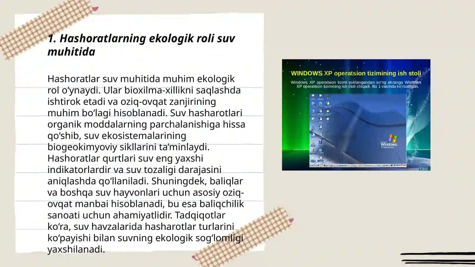 Hashoratlarning suvda hamda tuproq muhitida yashovchi turlari 3