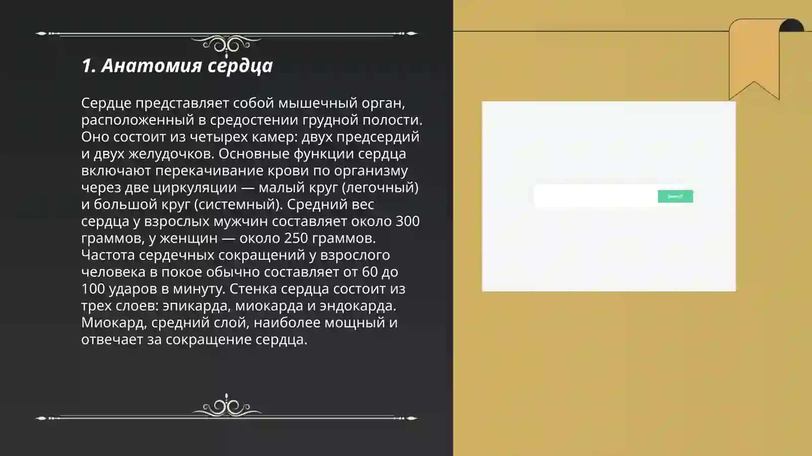 Физиология сердце 3