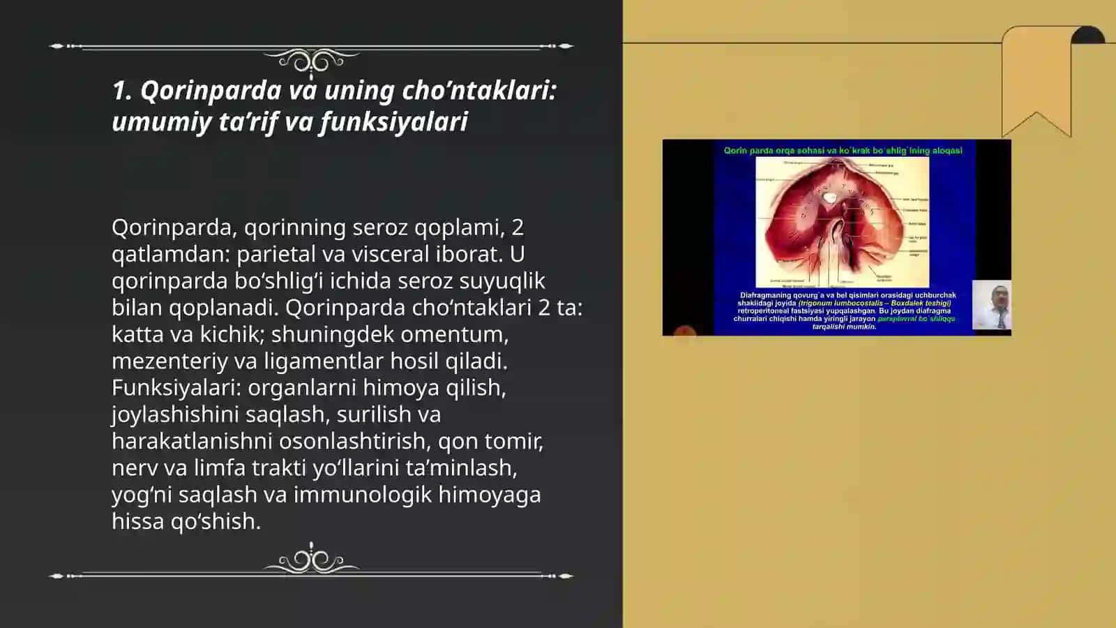 Qorinparda va uning cho’ntaklari 3