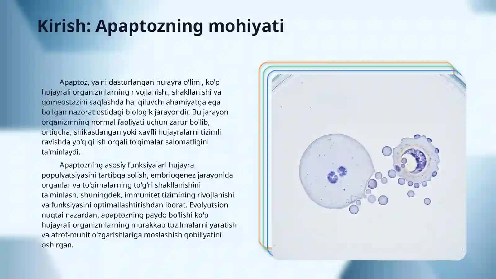 Hujayra apaptozi va uning biologik ahamiyati 3