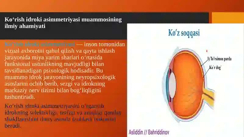 Ko'rish idroki asimmetriyasi 3