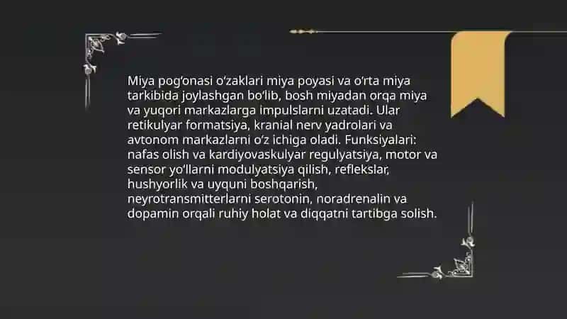 Miya pog'onasi o‘zaklari va ularning ahamiyati 3