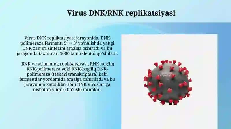 Viruslarning kopayishi 3