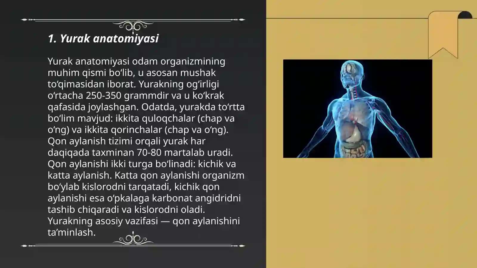 Vena tizimining umumiy anatomiyasi 3