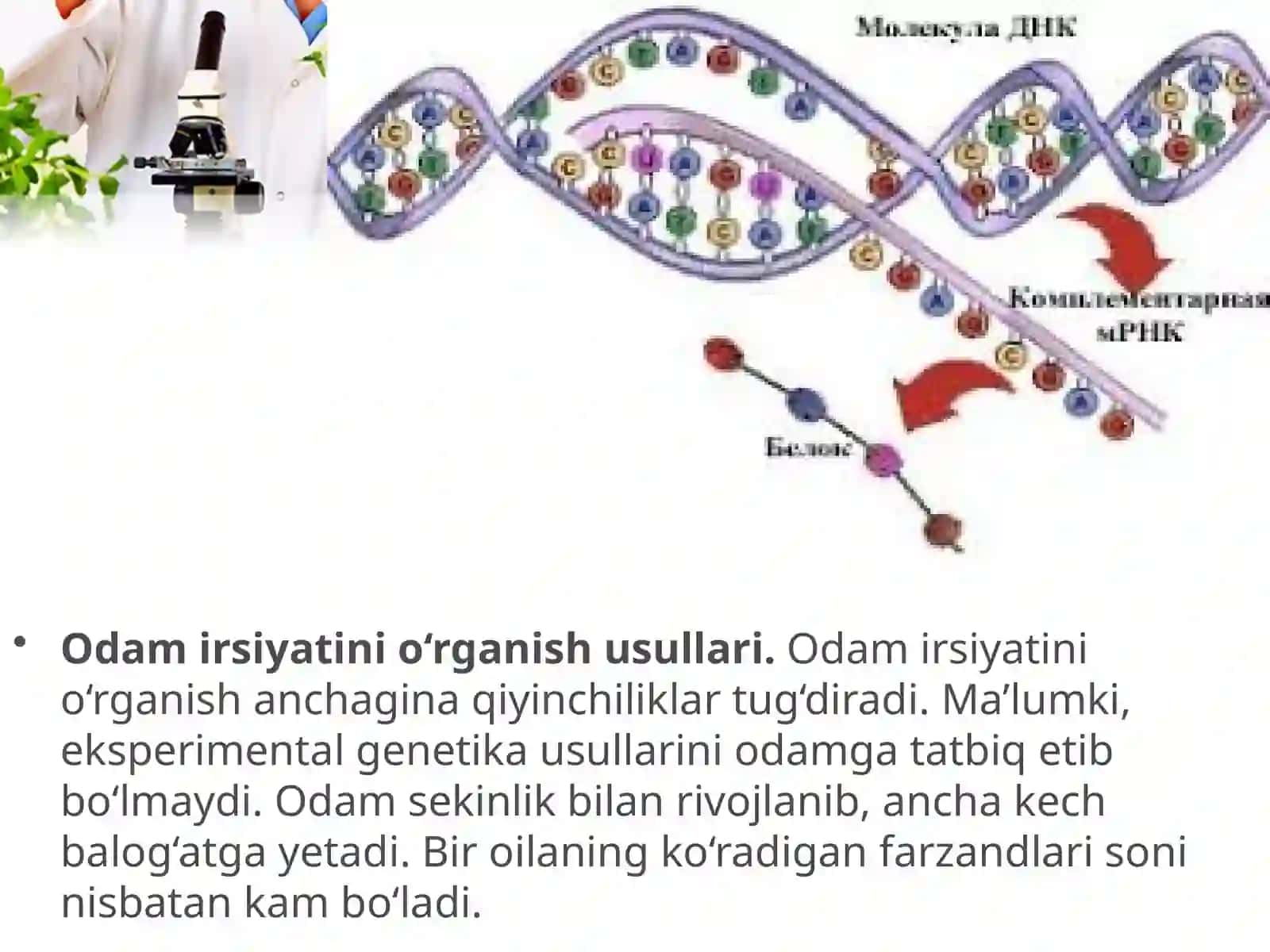 Odam genetikasi 3