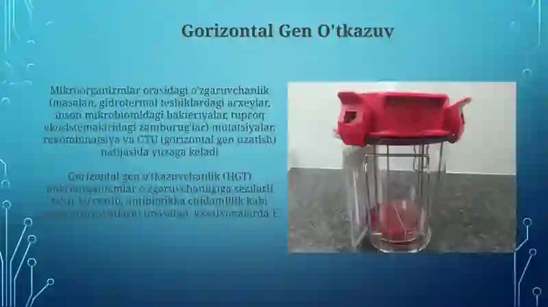 Mikroorganizmlarning o`zgaruvchanligi va irsiyati 3