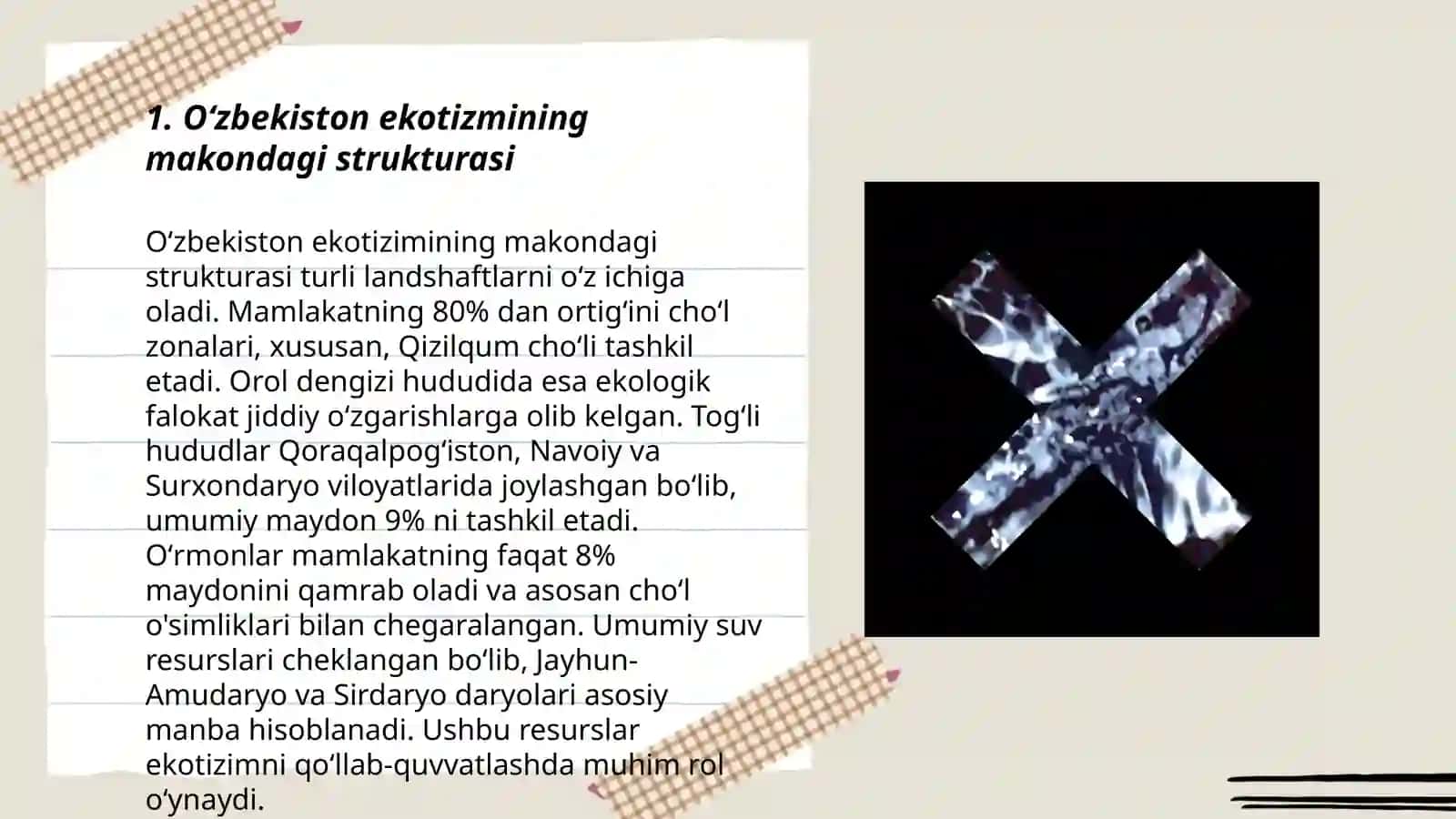 Òzbekiston ekotizmining makondagi strukturasi 3