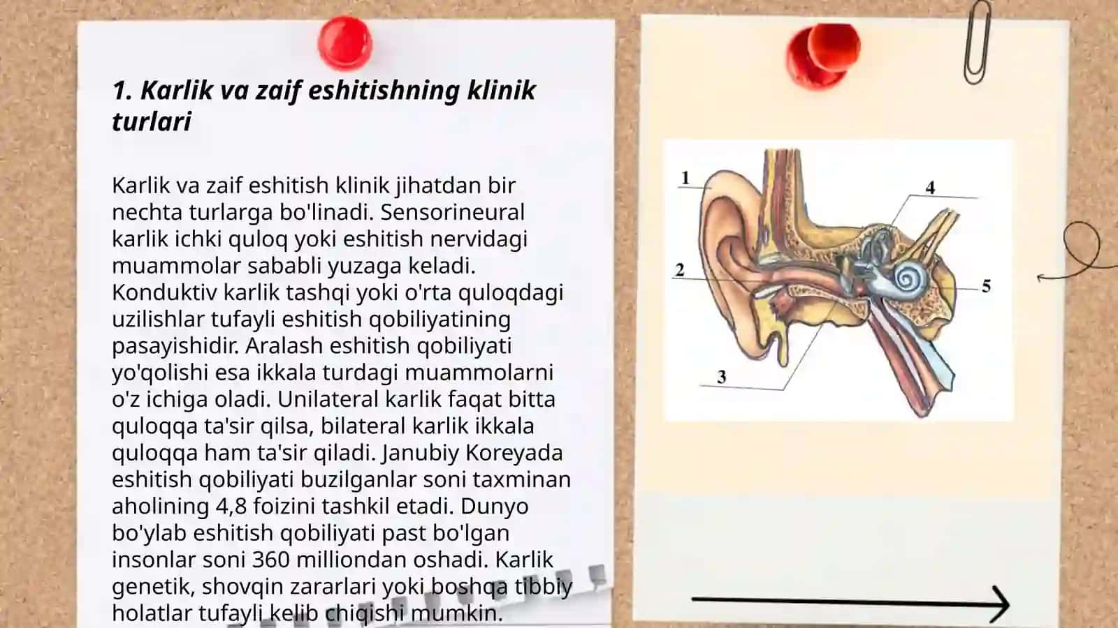 Karlik va zaif eshitish darajalari 3
