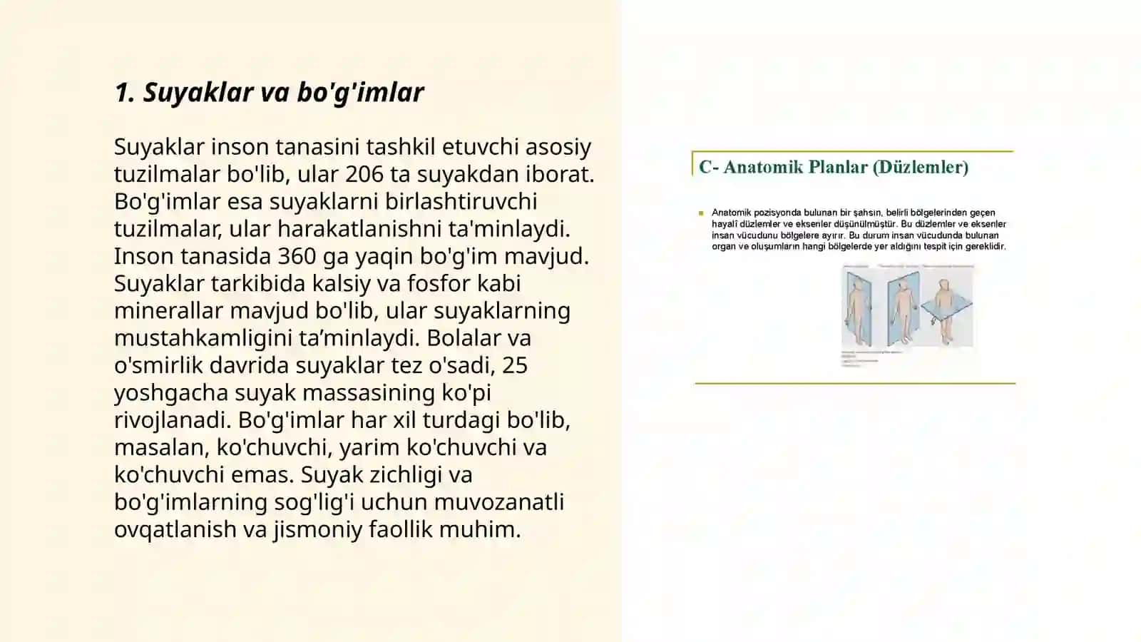 Anatatomik terminlarni lotinchada nomlanishi 3