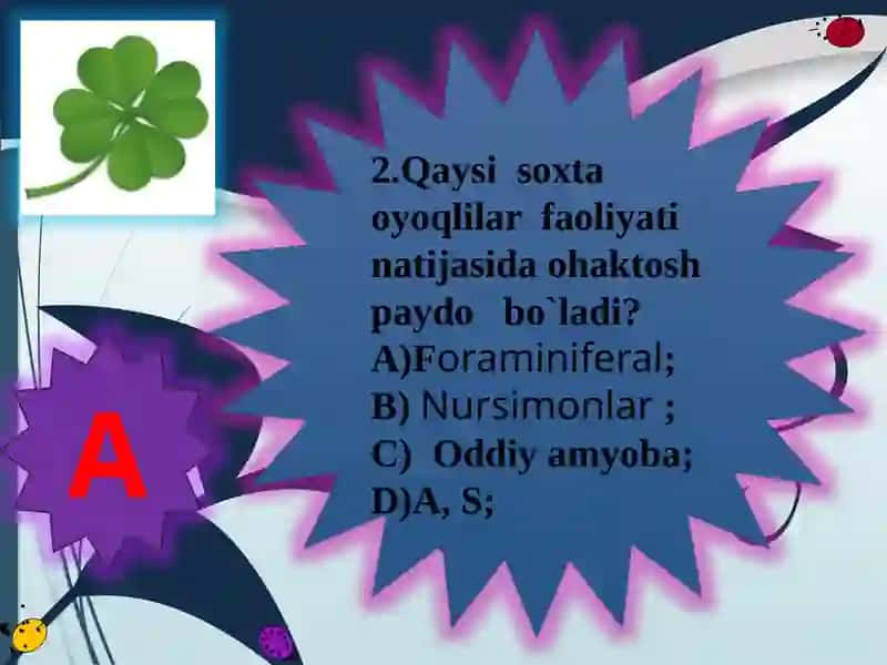 Xivchinlilar sinfi 3