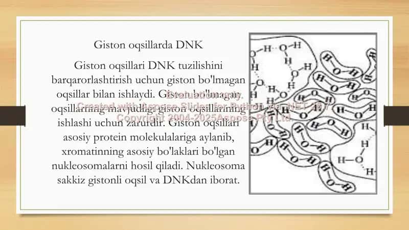 Giston bo'lmagan xromasomalar 3