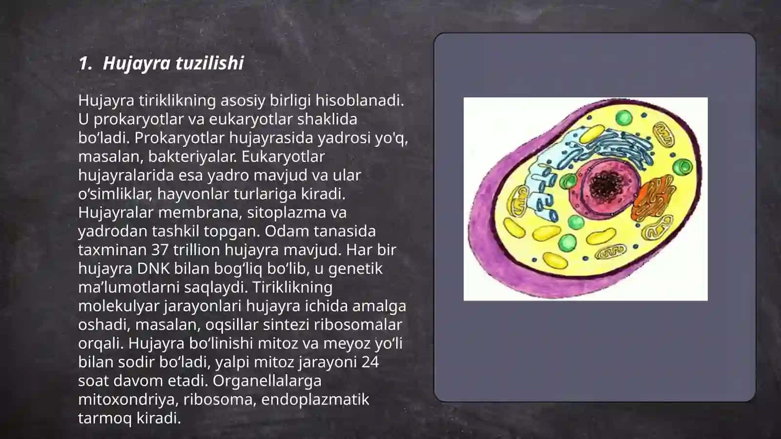 Hujayra biologiyasi 3