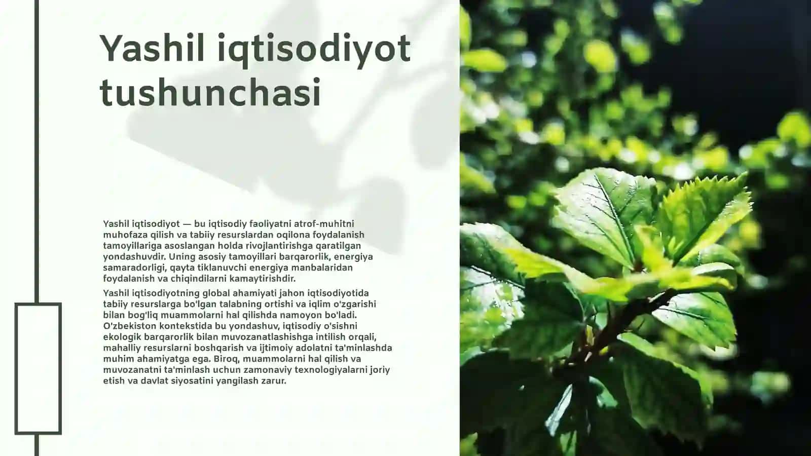 "Yashil iqtisodiyot" 3