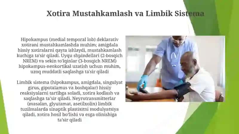 Limbik tizim klinik ahamiyati 3