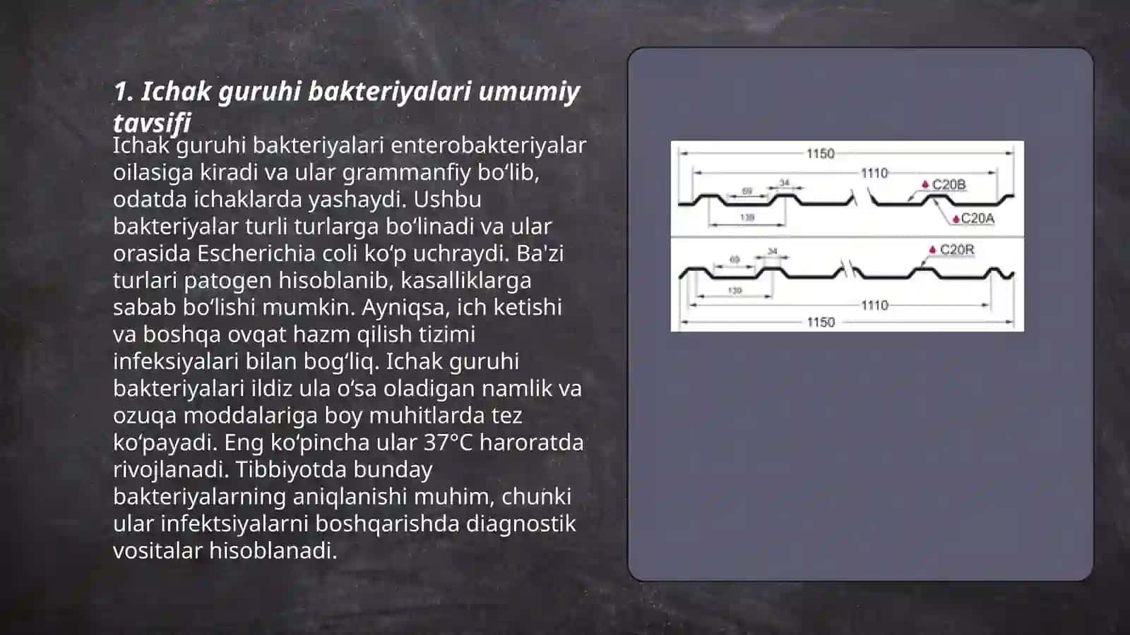 Ichak guruhi bakteriyalari 3
