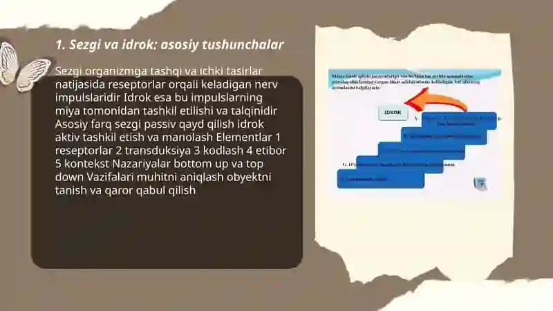 Sezgi va idrok: asosiy tushunchalar 3