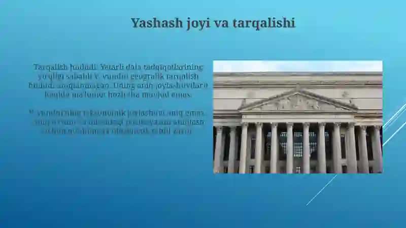 V.Vundni ong haqida tasnifi 3