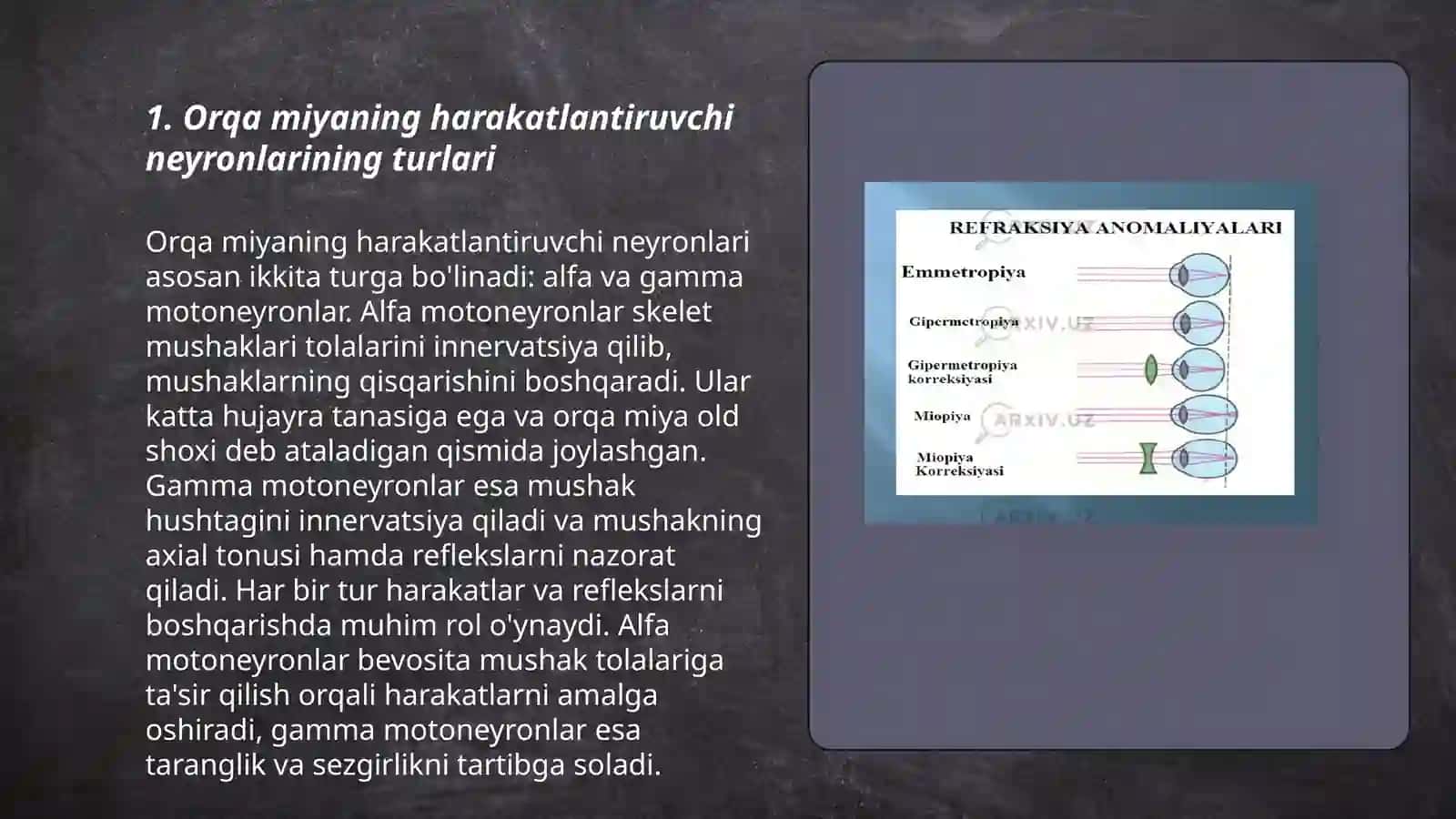 Orqa miyaning harakatlantiruvchi neyronlarining turlari 3