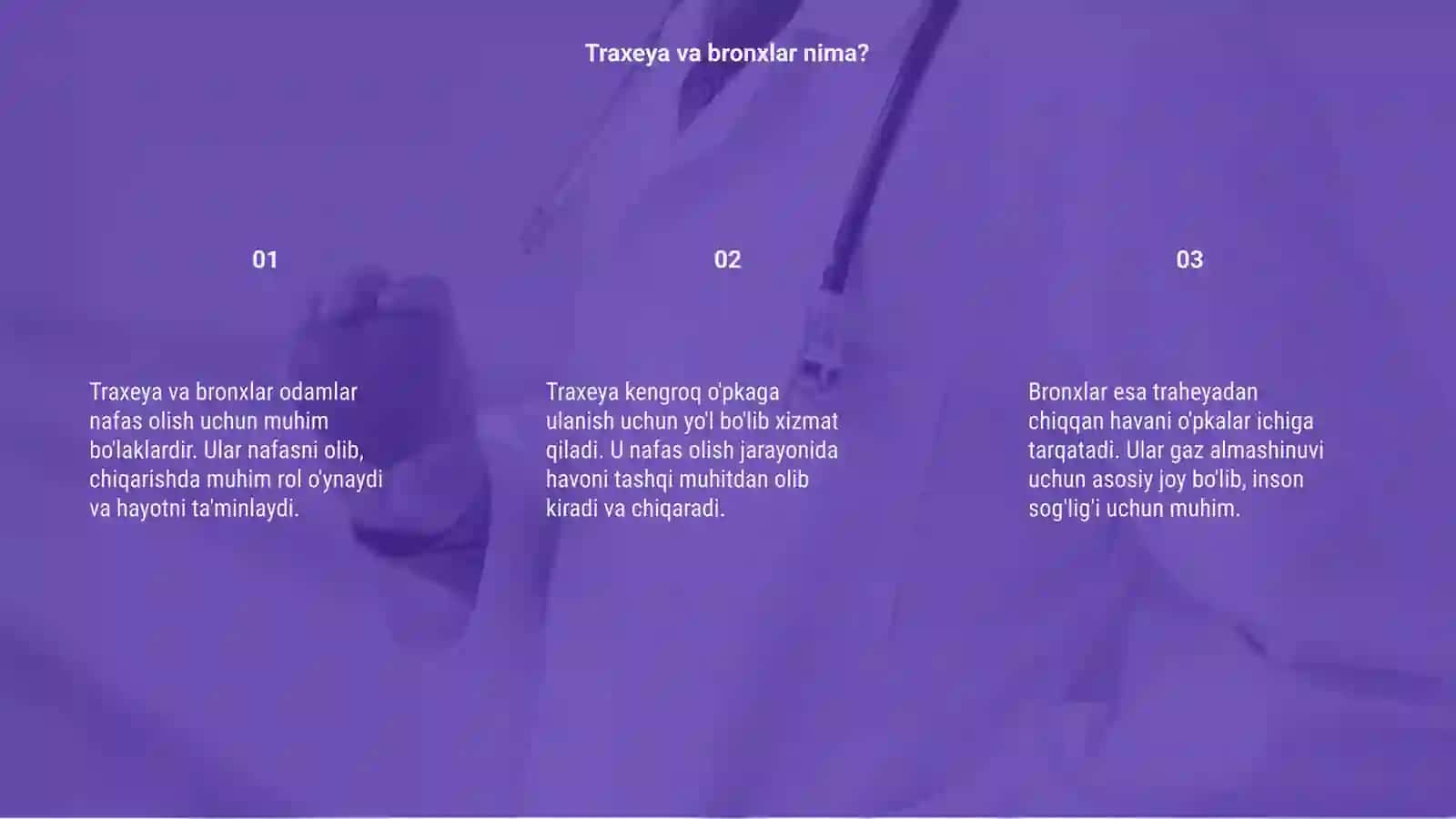 Traxeya va bronxlar haqida umumiy ma’lumot 3