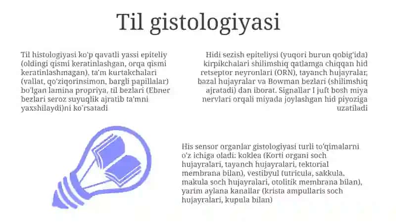 Burun va Tilning Gistologiyasi 3