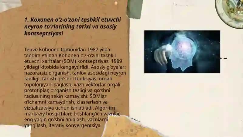 Koxonen oʻz-oʻzoni tashkil etuvchi neyron toʼrlari 3