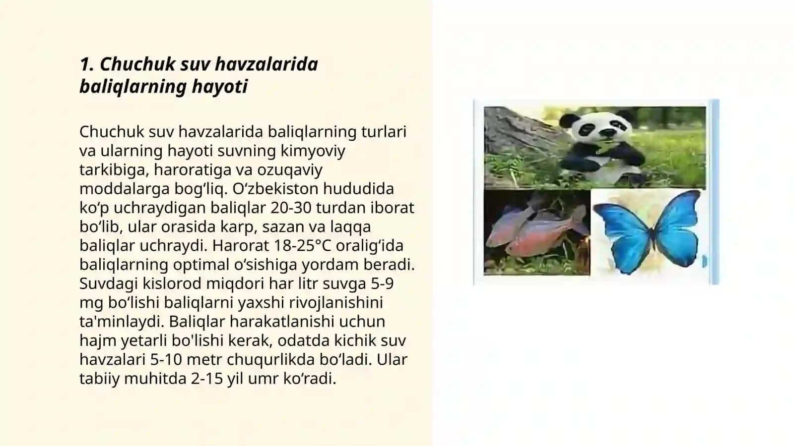 Chuchuk suv havzalarida baliqlarning hayoti 3