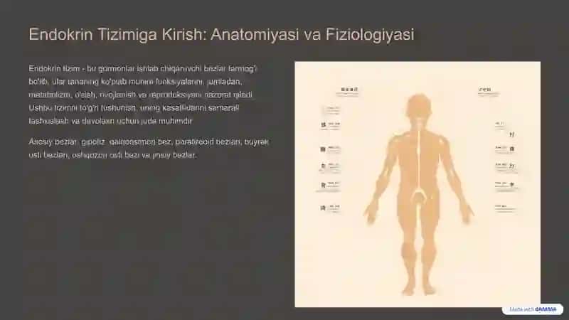 Endokrin Tizimi Radiologiyasi 3