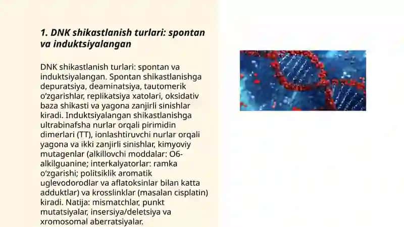 DNK shikastlanishi va reparatsiyasi, molekulyar mutatsiya 3