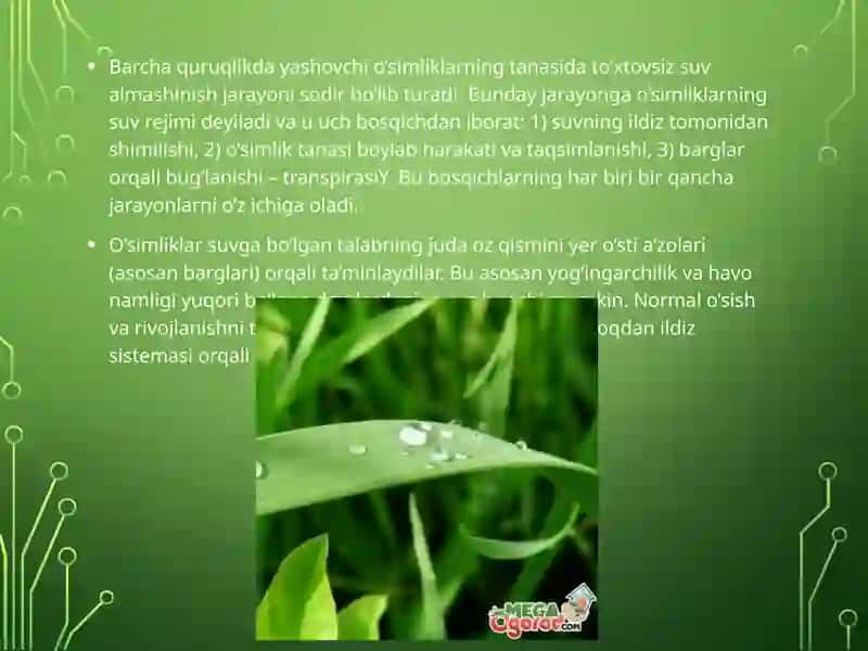 O’SIMLIKLARDA SUV HARAKATINING PASTKI MEXANIZMLARI 3