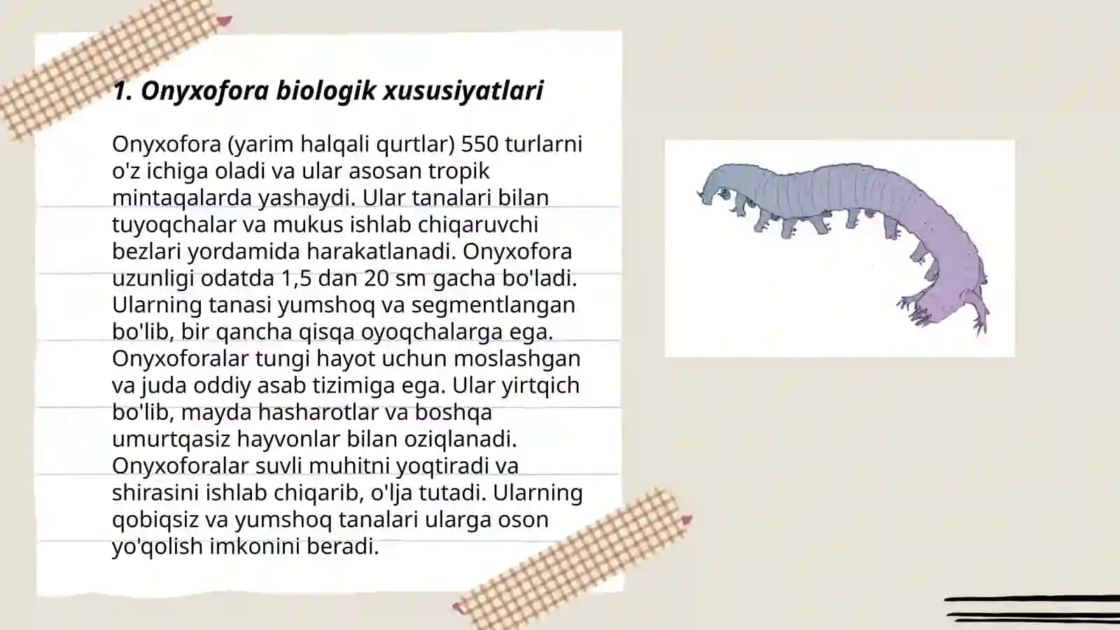 Onychophora va Tardigrada Tiplari 3